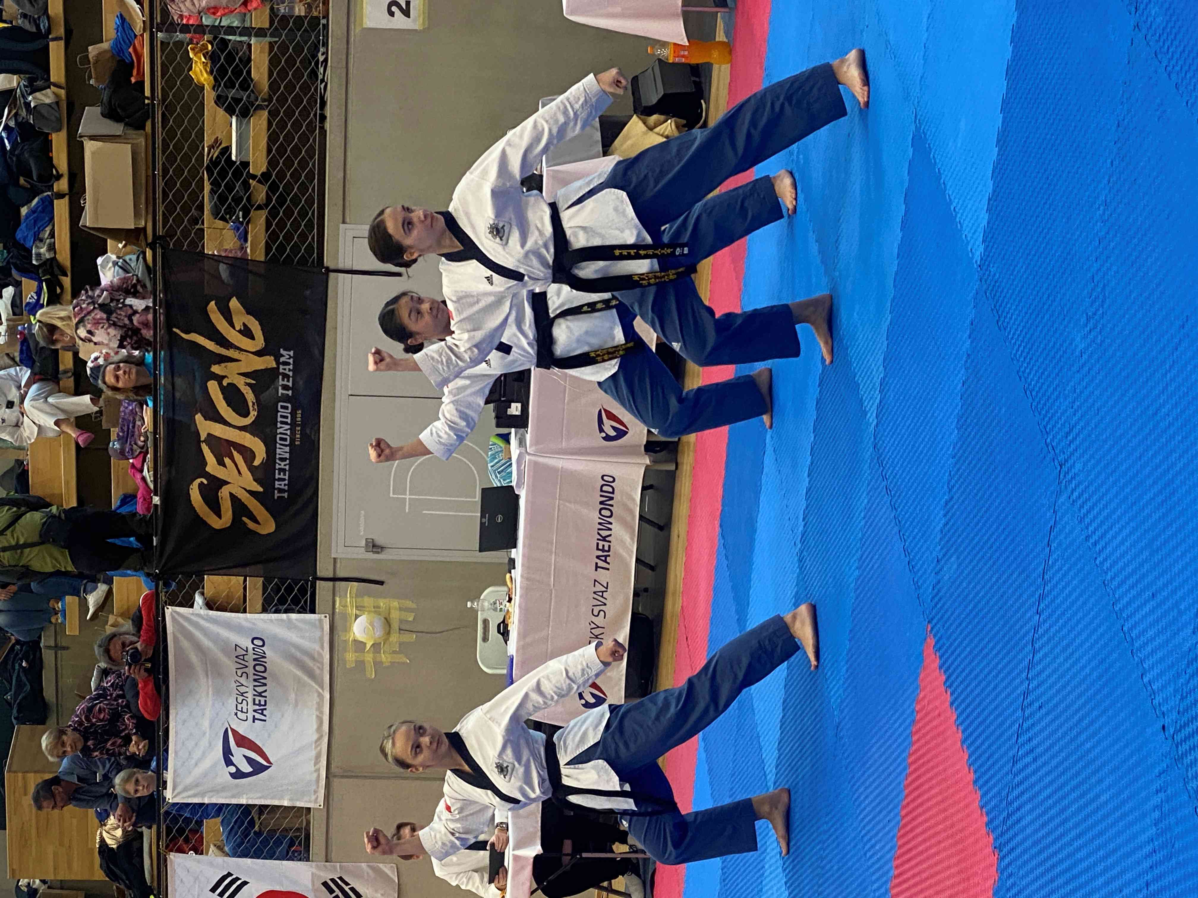 Kolín Cup a Czech Open 2023 v Taekwondu – halaborky.cz